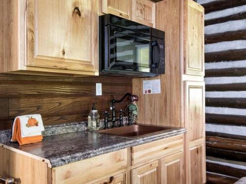 Η κουζίνα ή μικρή κουζίνα στο Log Cabin Hideaway in the Woods near Knoxville, Tennessee