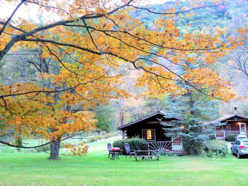 a cabin with a picnic table and chairs in the grass at Simple Cabin Camping for Families in the Catskills of Upstate New York in Big Indian