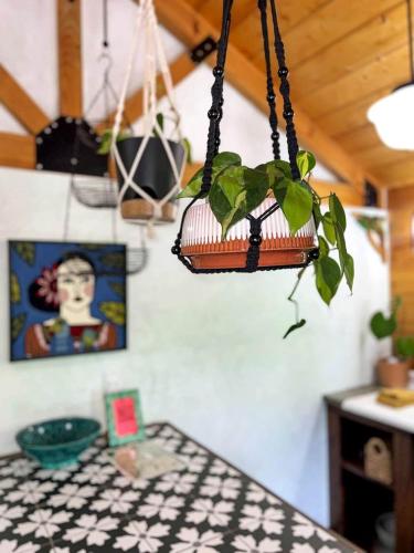 a potted plant hanging from a ceiling in a kitchen at Relaxing Getaways to Chattanooga, Tennessee, in this Colorful Pet-Friendly Cabin in Whitwell
