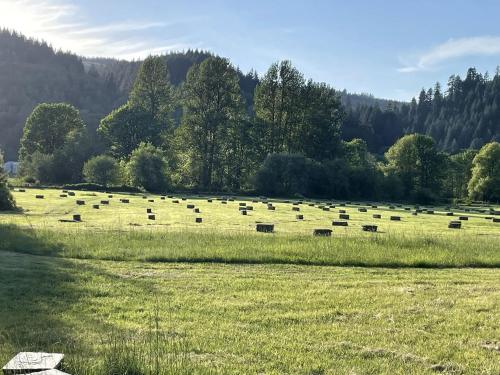 a field full of hay bales in a field at Amazing Romantic Yurt with Spectacular Landscape Views in Oregon in Philomath