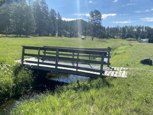 un banco de madera sentado en un puente sobre un río en Cozy Tiny Cabin 8 in Rapid City, SD, en Hill City