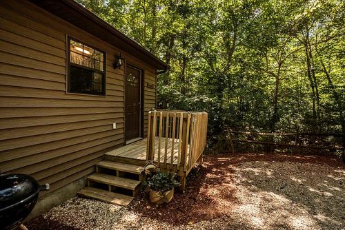 a porch of a house with a door and a plant at Family-Friendly Cabin Rental with River Views near Knoxville in Greeneville