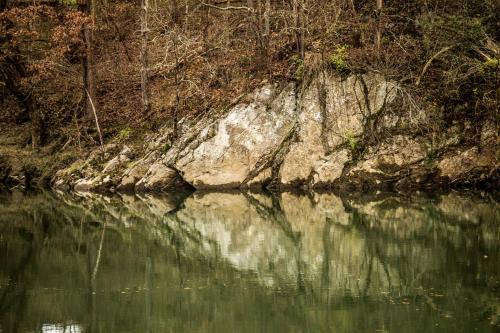 a view of a body of water with a rocky shore at Family-Friendly Cabin Rental with River Views near Knoxville in Greeneville