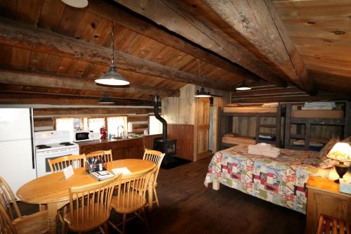 a kitchen and dining room with a table in a cabin at Rural Cabin Rental in Secluded Mountain Area in North Central Colorado in Columbine