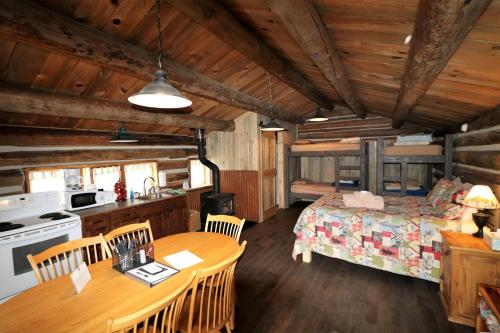 a kitchen and a bedroom with a table and a bed at Rural Cabin Rental in Secluded Mountain Area in North Central Colorado in Columbine