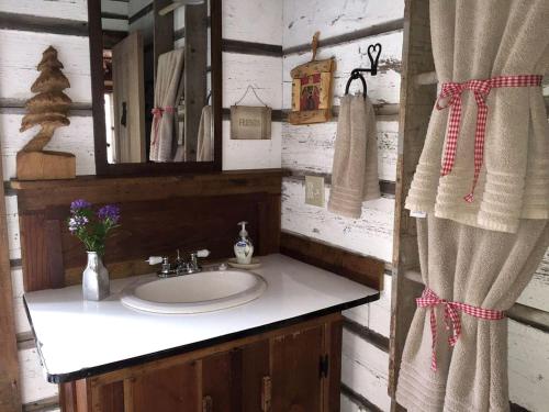 Koupelna v ubytování Charming Cabin Rental with a Hot Tub near Cedar Point and Lake Erie in Ohio