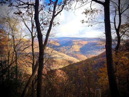 a view of a valley in the mountains with trees at Riverfront Cabin Rental with a Private Beach on Youghiogheny River near Pittsburgh, Pennsylvania in Confluence