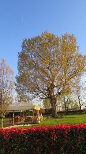a tree and a gazebo in a park with flowers at Agriturismo L'Albara - Wines, Pool & SPA in Villaganzerla