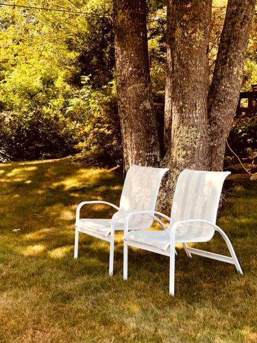 two white chairs sitting next to a tree at Cozy Bed and Breakfast with Beautiful Bay Views near Rockland, Maine in Lincolnville
