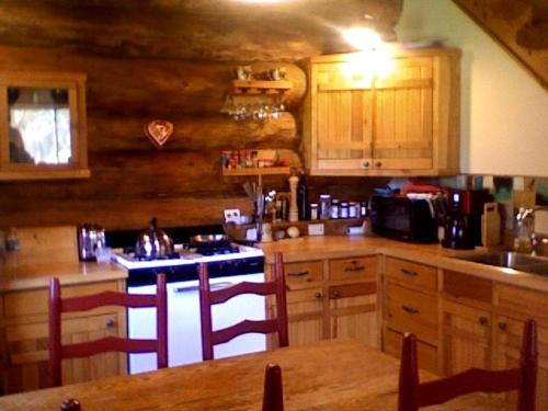 a kitchen with wooden cabinets and a counter top at Rustic Ski Log Cabin for Six People with Outdoor Fire Pit near the Catskill Mountains in North Blenheim