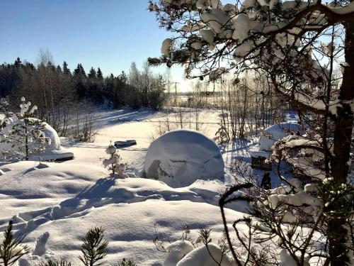 Un iglú está cubierto de nieve en un campo. en Luxury Dome with Ski-In/Ski-Out Access in Pori for a Holiday in Finland, en Pori