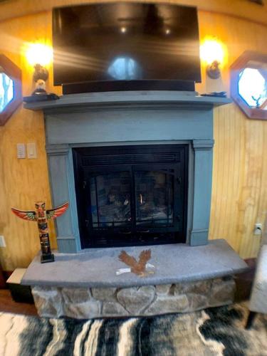 a fireplace in a living room with a fire place at Magical Tree House Experience with a Private Hot Tub in Shenandoah Valley, Virginia in Grove Hill