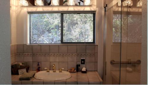 ein Bad mit einem Waschbecken, einem Fenster und einer Dusche in der Unterkunft All Dream Cottages Romantic Island Getaways in Orcas