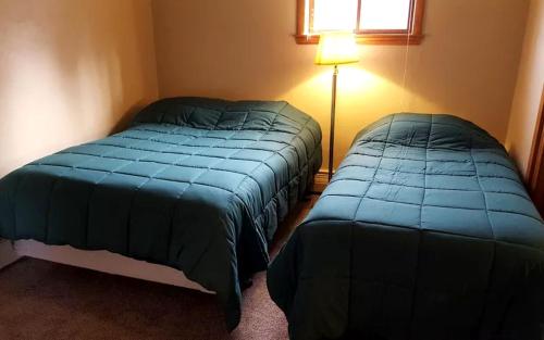 a bedroom with two beds and a lamp at Rustic Cabin with a Picnic Table and Barbecue on Somo Lake, Wisconsin in Tomahawk