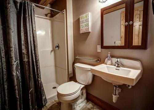 a bathroom with a toilet and a sink and a shower at Incredible Lakeside Cabin Rental Situated near Walker Bay in Minnesota in Ah-gwah-ching