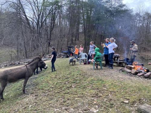 a group of people standing around a fire with a donkey at Camping Cabin on a Rustic Ranch near Great Smoky Mountains National Park, Tennessee in Old Chilhowee