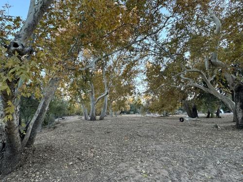 a park with trees and a bench in a field at Cozy Creekside Cottage with Deck and Fire Pit in Camp Verde, Arizona in Lake Montezuma