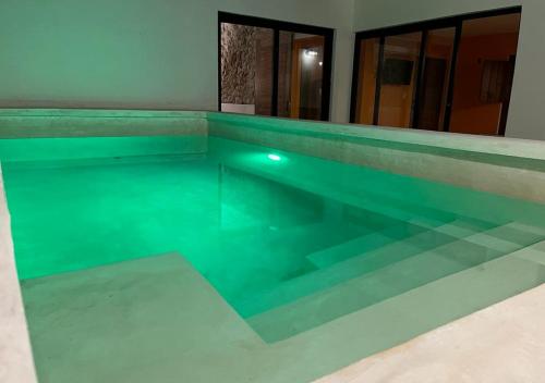 a large swimming pool with green water at Casa Michela512 ,Piscina y Mérida centro in Mérida
