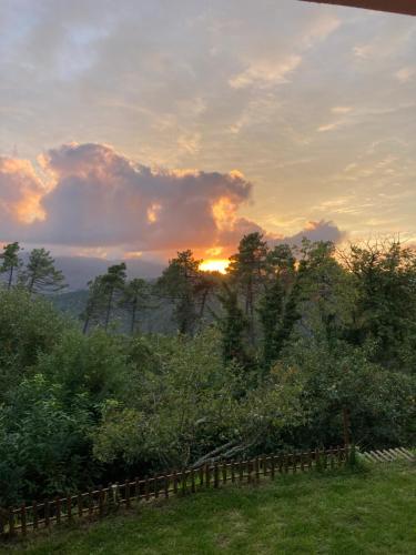 a sunset over a field with a fence and trees at La casa nel verde con piscina in Polverara