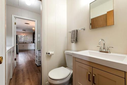 a bathroom with a white toilet and a sink at Spacious Chic Cabin with Private Yard in Marble Falls, Texas in Smithwick