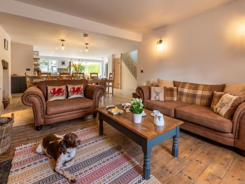 a living room with a dog sitting on the floor at 4 bed in Crickhowell 85242 in Crickhowell