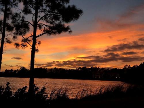 a sunset over a lake with a palm tree at Idyllic Waterfront Rental with Shared Pool Access in Jupiter, Florida in Delta