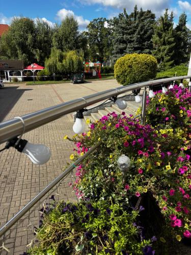 ジェルジョニュフにあるHotel Miodowyの金属製の手すりの上の花束