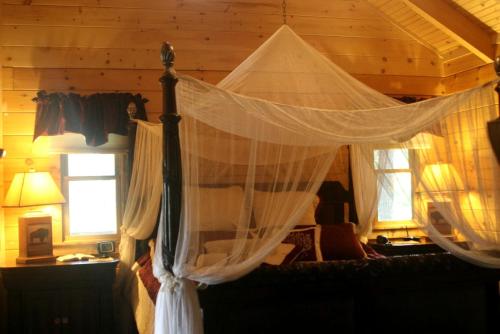 a bedroom with a canopy bed with mosquito net at Romantic One-Bedroom Cabin with a Fireplace near Asheville, North Carolina in Crabtree