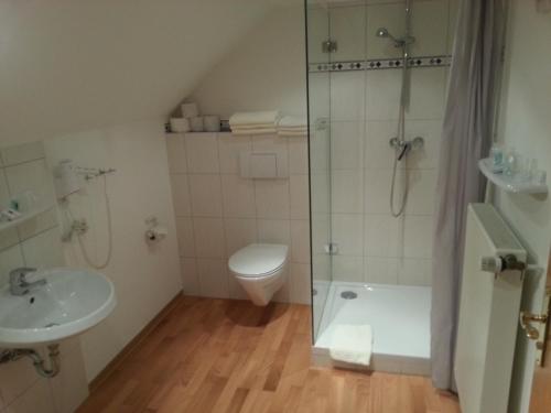 een badkamer met een douche, een toilet en een wastafel bij Landgasthof Lang Zum Adler in Oberkalbach