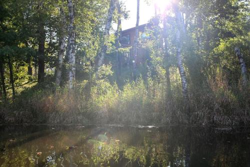 a body of water in a forest with trees at Lakefront Cabin Rental with a Paddle Boat near Wisconsin Dells, Wisconsin in Tomah