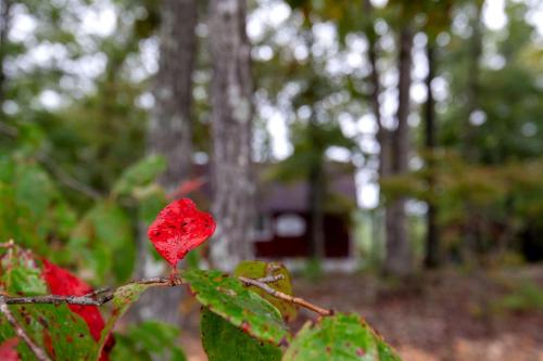 Gallery image of Escape to Marshall, Arkansas, in this Cozy Cabin for Four in Maumee
