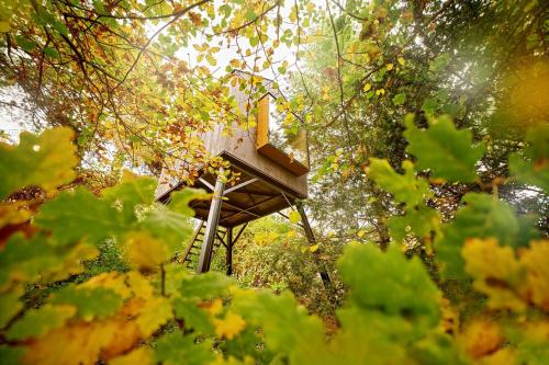Escape to the Czech Republic in this Wonderful Tree House in Nature