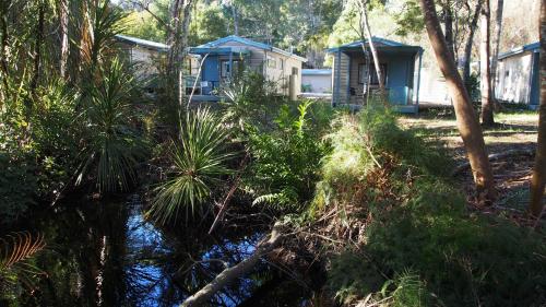 a house in the woods next to a body of water at Strahan Retreat Holiday Park in Strahan
