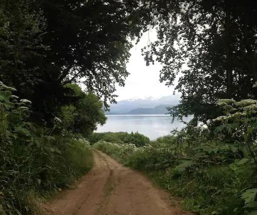 a dirt road with a view of a body of water at Luxury Camping Tent Overlooking Kachemak Bay in Homer, Alaska in Fritz Creek