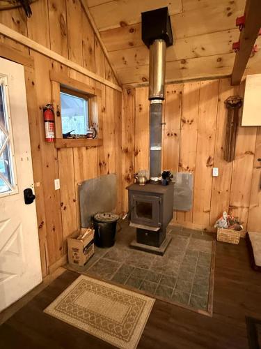 TV a/nebo společenská místnost v ubytování Cozy Mountain Cabin in Sunderland, VT
