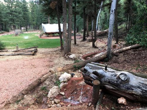 un tronco adagiato a terra in una foresta di Traditional Conestoga Wagon Perfect for a Family Getaway near Zion National Park, Utah a Alton