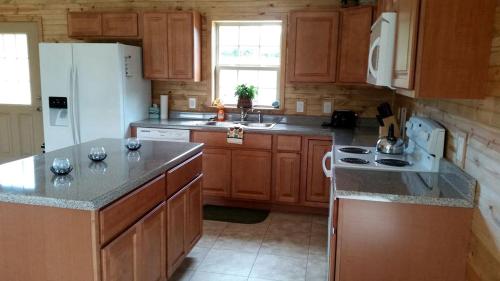 Kuchyň nebo kuchyňský kout v ubytování Cozy Riverside Cabin with Private Hot Tub in Rileyville, Virginia