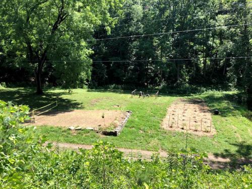 a garden with some animals in a field at Unique Accommodation with Sauna for a Glamping Experience near Nantahala River, North Carolina in Marble