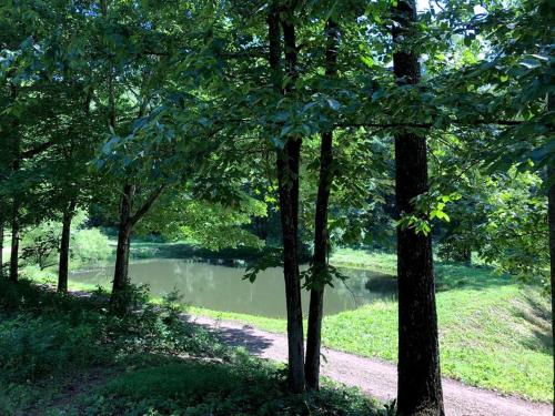 a path through the trees next to a lake at Unique Accommodation with Sauna for a Glamping Experience near Nantahala River, North Carolina in Marble
