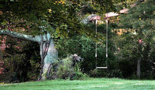 a swing hanging from a tree in a park at Private Bed and Breakfast Accommodation for Two near Doylestown, Pennsylvania in Buckingham