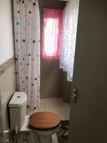a bathroom with a toilet and a pink window at Simons Town Cove Guest House in Simonʼs Town