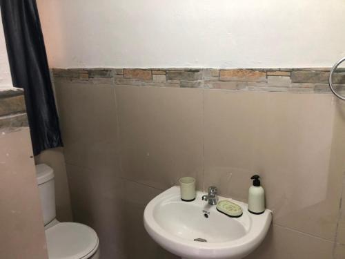 a bathroom with a sink and a toilet at Simons Town Cove Guest House in Simonʼs Town