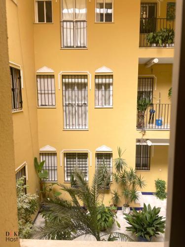 Alameda Apartments - 1B