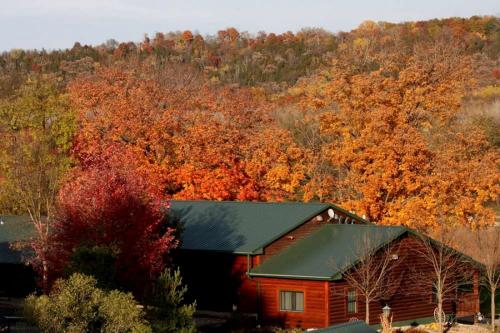 a house with a green roof in front of trees at Gorgeous Cabin Surrounded by Trees and Incredible Views near Lanesboro, Minnesota in Whalan