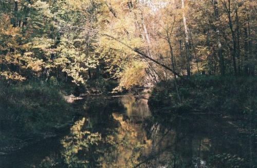 Příroda nedaleko prázdninového domu