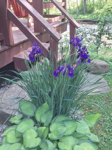 Taman di luar Charming Creekside Log Cabin with Wood Burning Stove Overlooking the Neshannock Creek, Western PA