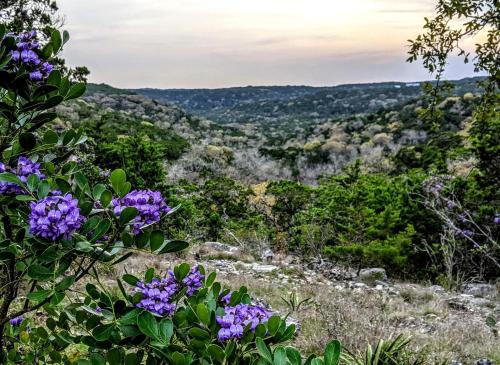 a view of a valley with purple flowers at Tiny House with Amazing Views and Private Hiking Trails in Hill Country, Texas in Freedom Springs Ranch Airport