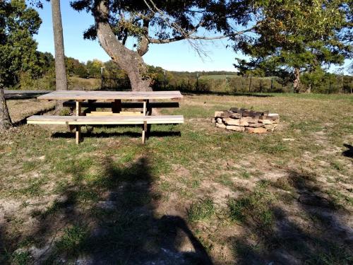 einen Picknicktisch auf einem Feld mit einem Baum in der Unterkunft Cozy Cabin with Spa and Picnic Space in Marshall, Arkansas in Marshall