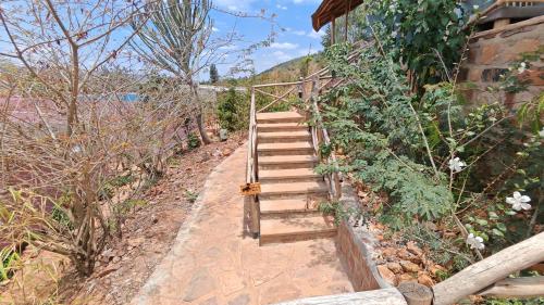 a set of wooden stairs leading up to a house at Akagera Park Inn in Akagera