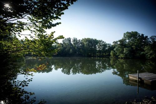 a view of a lake with trees and a dock at Wonderful Lakefront Cabin with Hot-tub in Carbondale, Illinois in Etherton